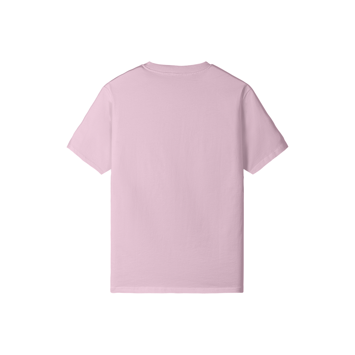 0-YFC-Back Side