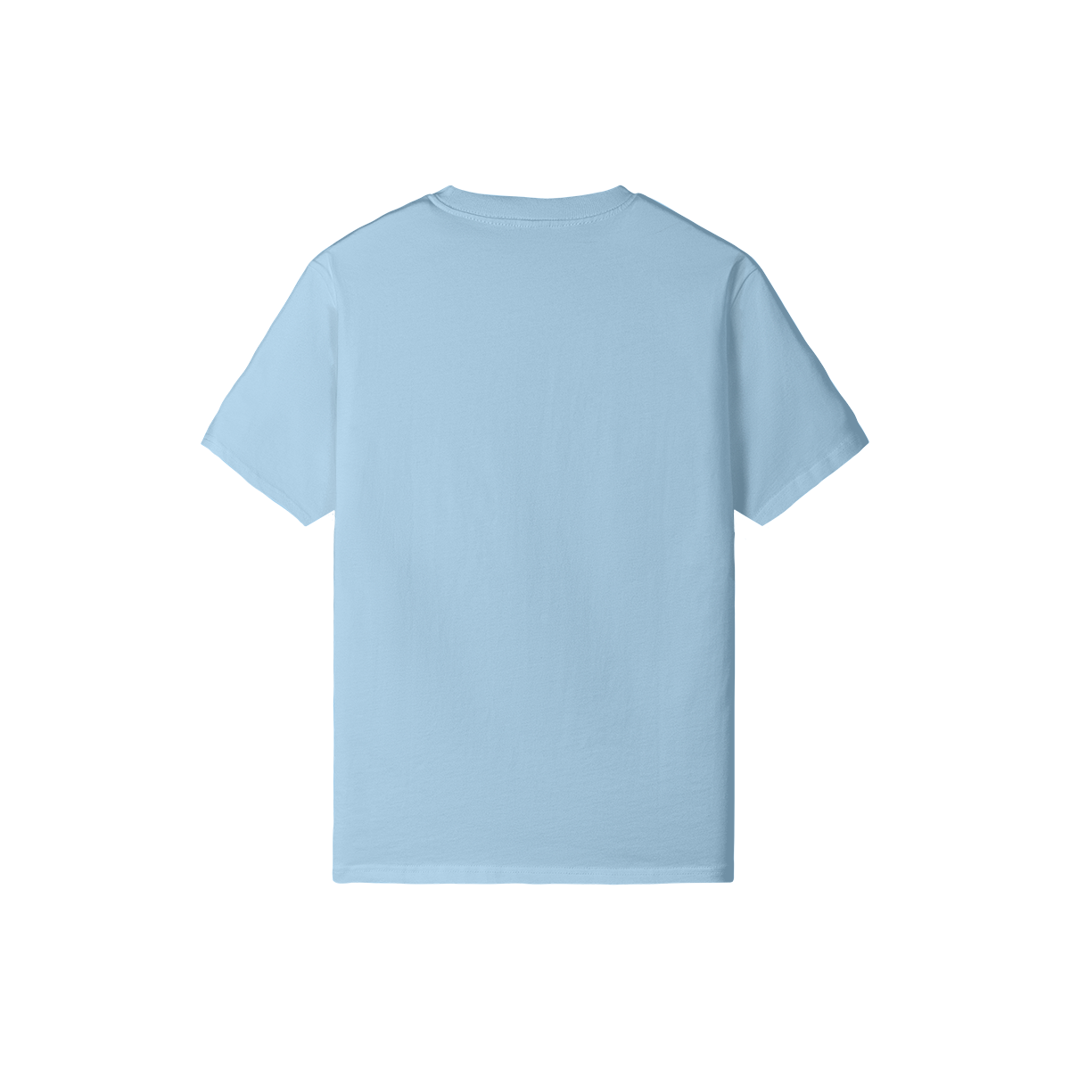 0-YFA-Back Side